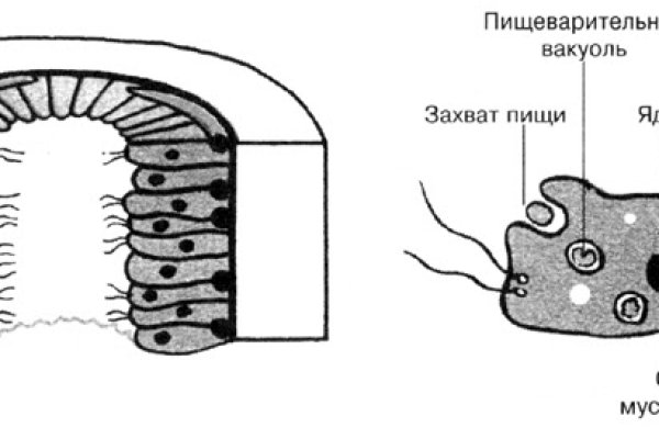 Рабочая ссылка на кракен