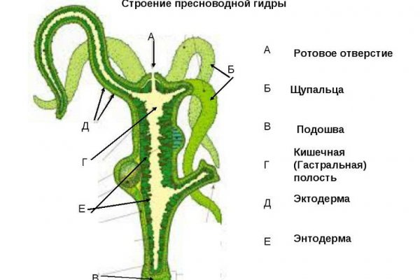 Кракен как войти