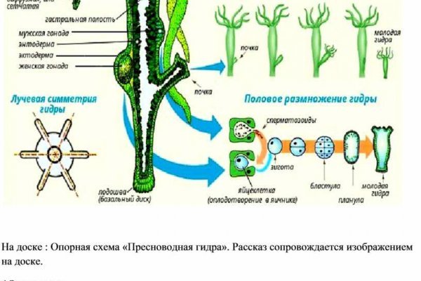 Когда заработает кракен