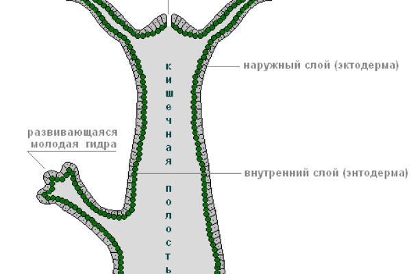 Кракен вход рабочий