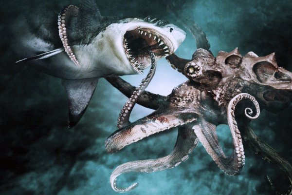 Kraken 18at